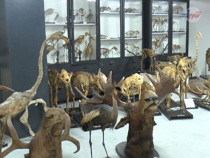  موزه جانور شناسی