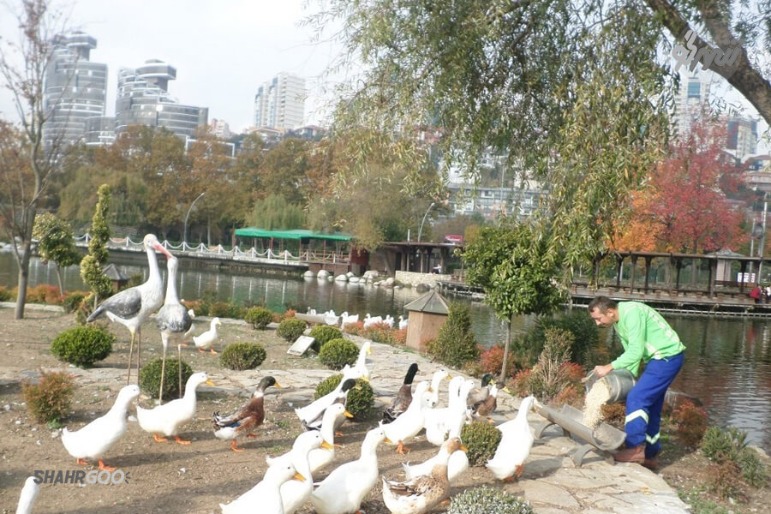 İstanbul'daki Bahçe Şahir Gölet Parkı