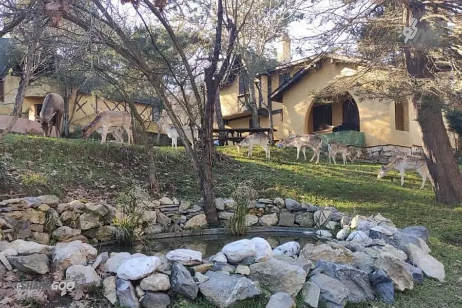 İstanbul Polonsko Hayvanat Bahçesi