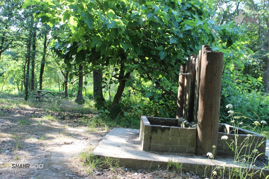 Çilingoz Tabiat Parkı