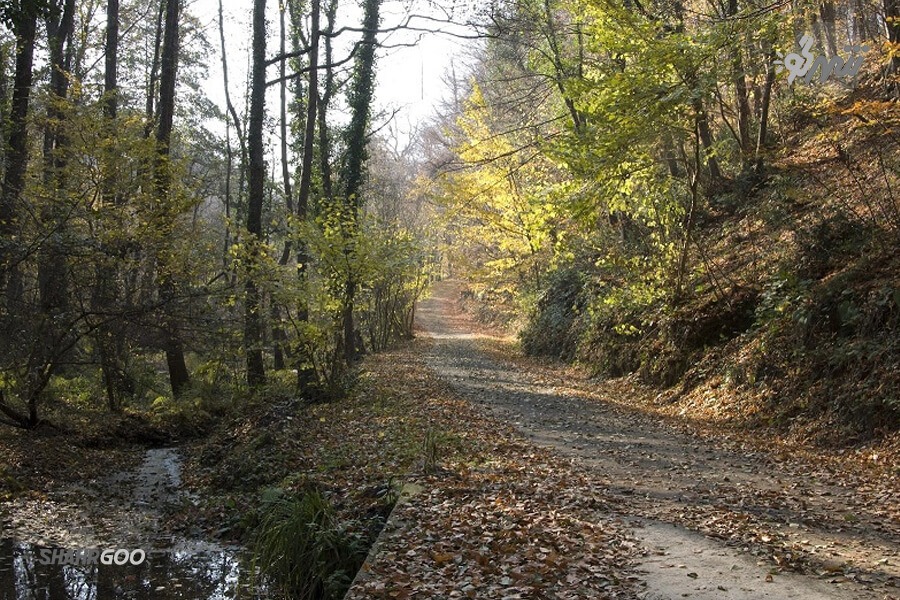 Ayvat Bendi Nature Park