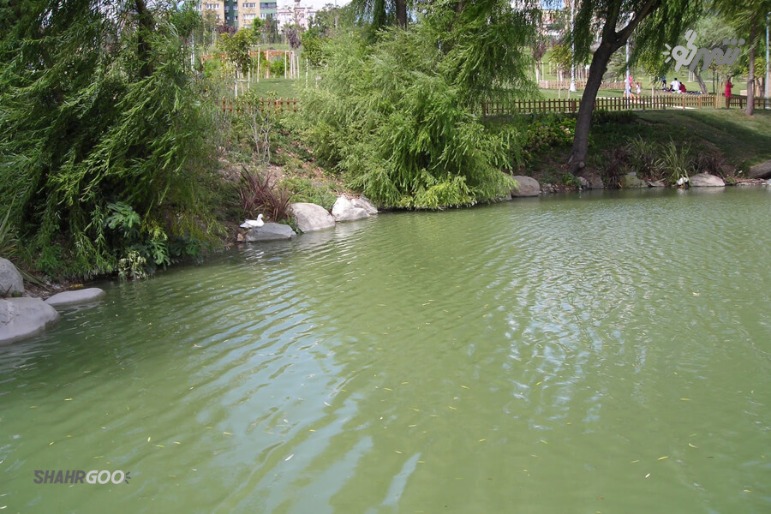 پارک گیاه شناسی باکیرکوی استانبول