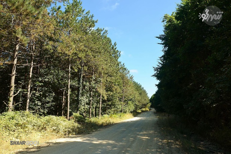 Çilingöz Orman Parkı, İstanbul