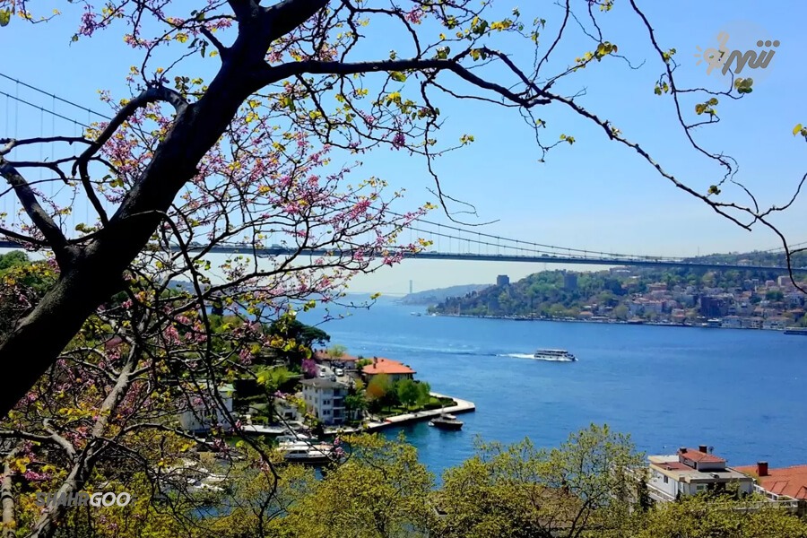 İstanbul Mihrabat Tabiat Parkı