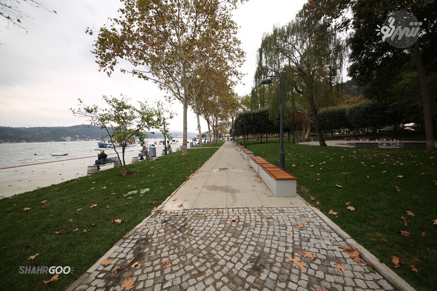 Bebek Park