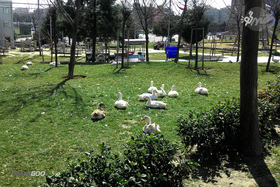 İstanbul Bakırköy Botanik Parkı